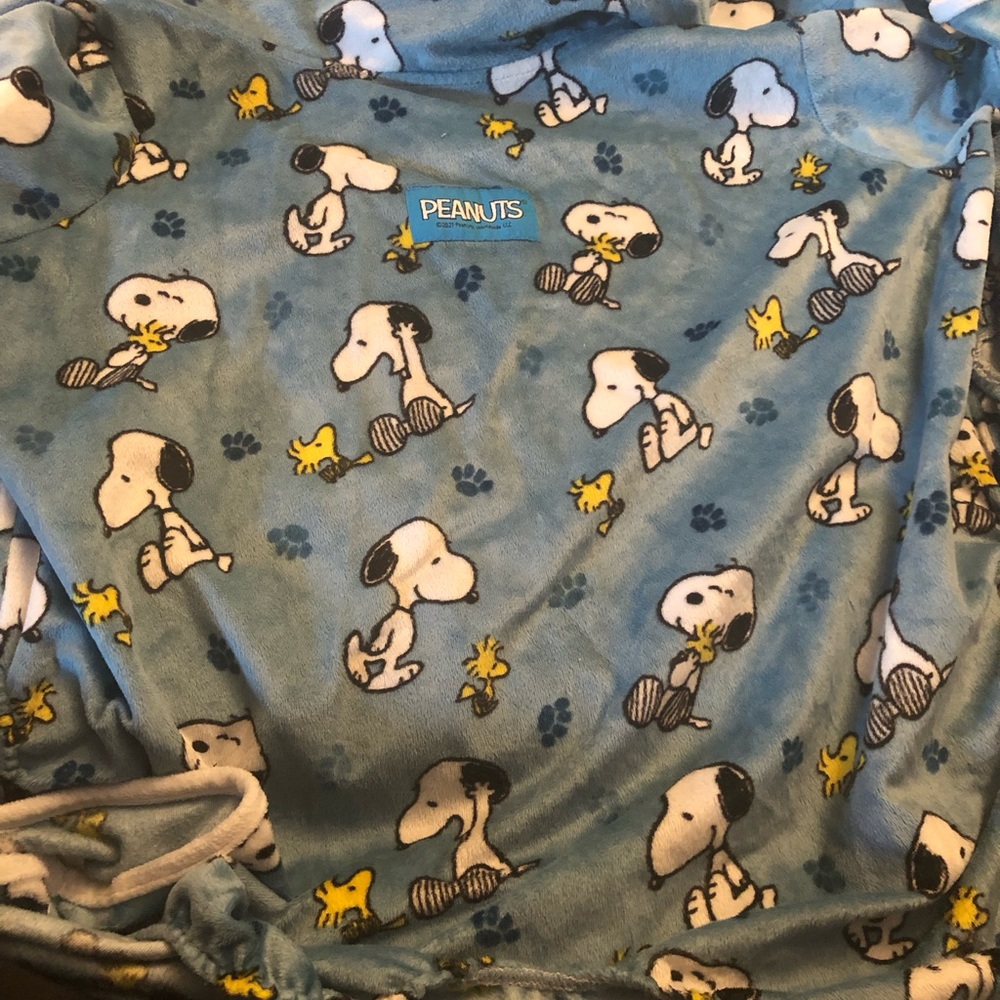 Large Dog onesie